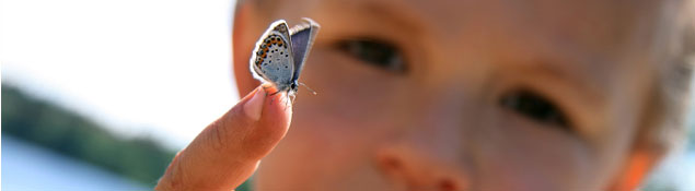 a butterfly on a boy's finger